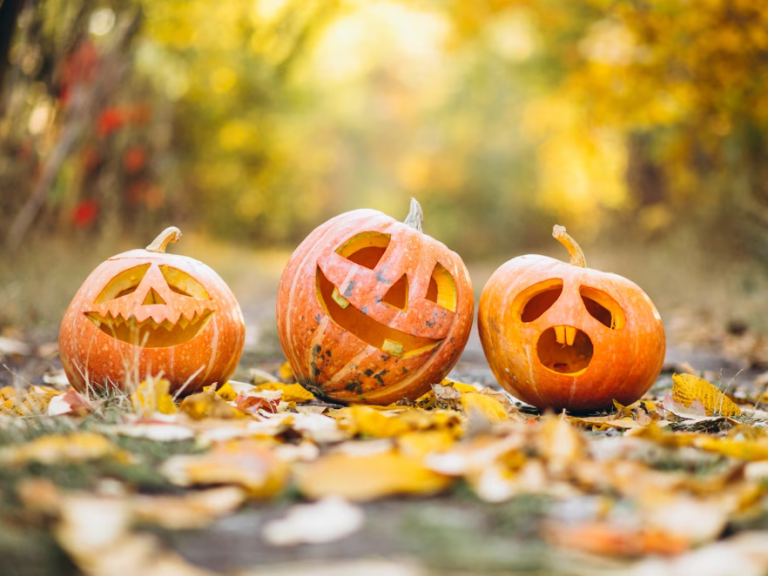 Čarodějnice a dýně: Proč jsou na Halloween tak oblíbené?