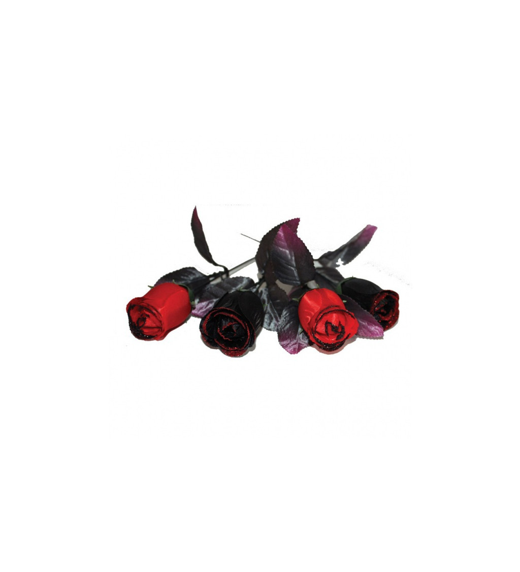 Černé a červené růže