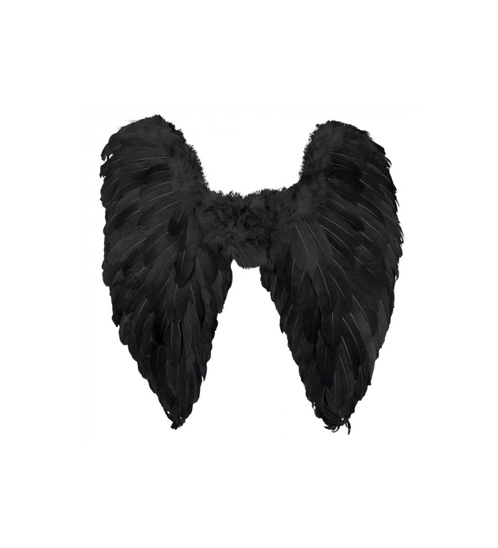 Černá křídla padlý anděl