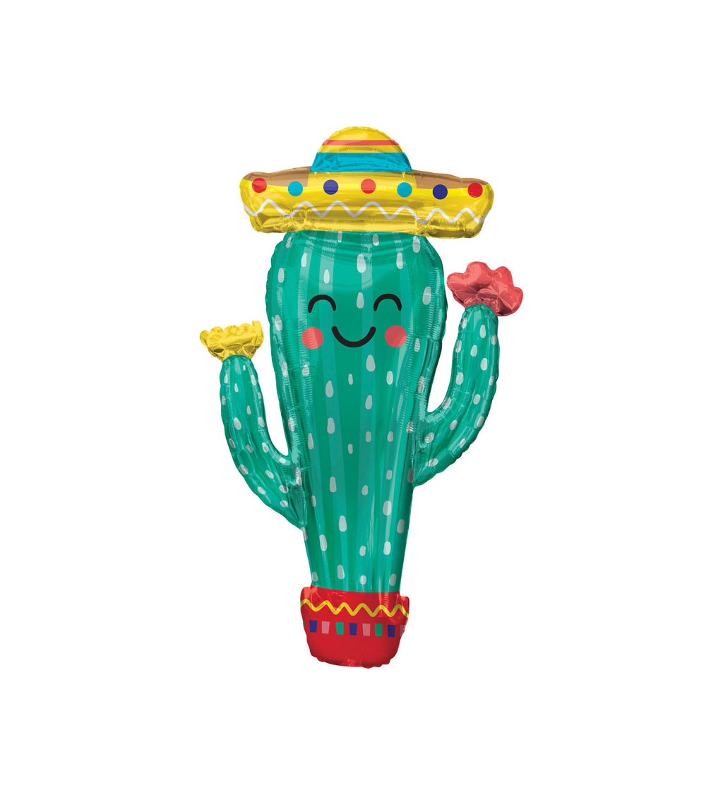 Kaktus zelený balón