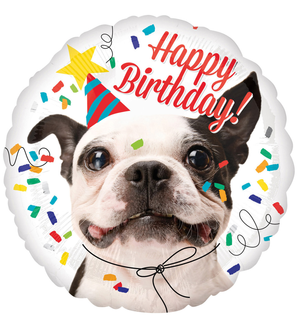Happy Birthday dog balónek