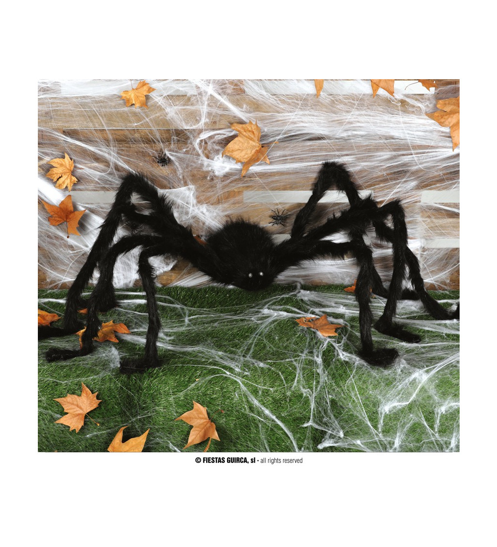 Pavouk černý dekorace