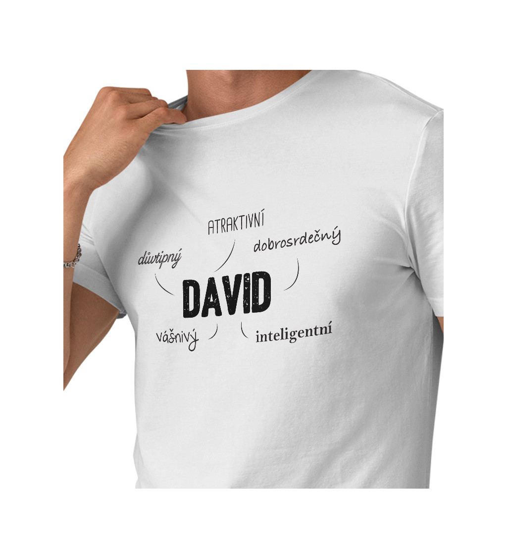 Pánské tričko bílé David