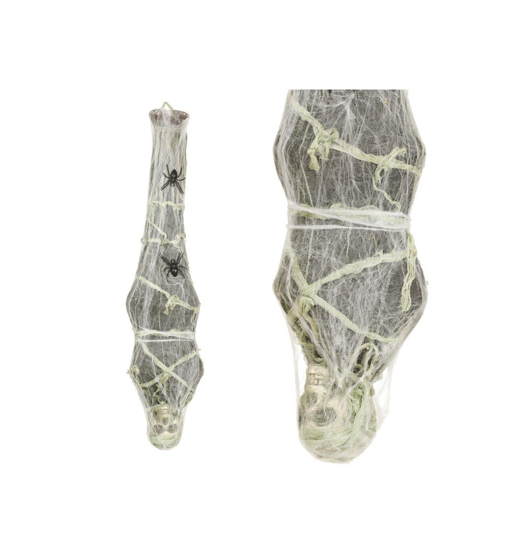 Lebka v pavučině visící