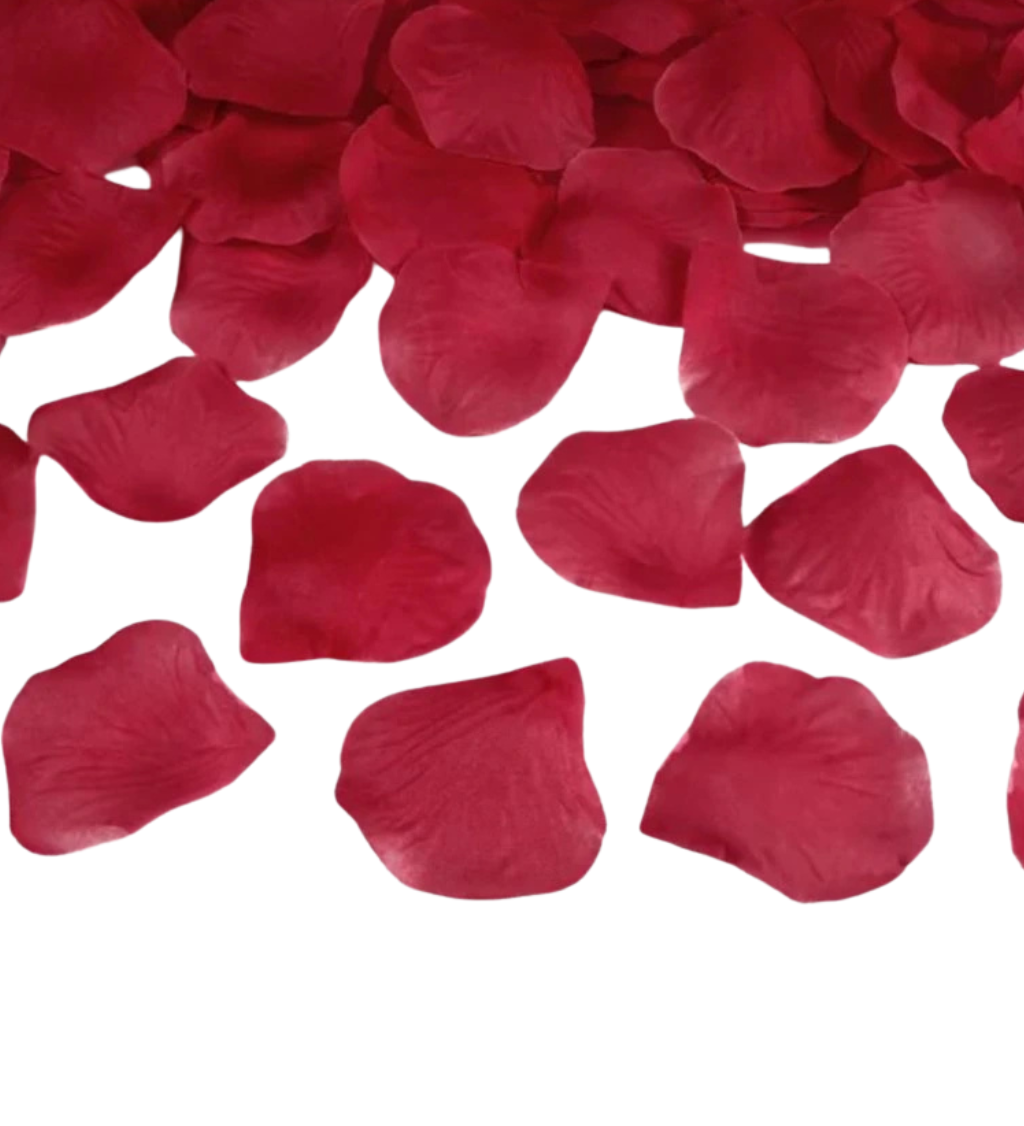 Vínové okvětní plátky růží