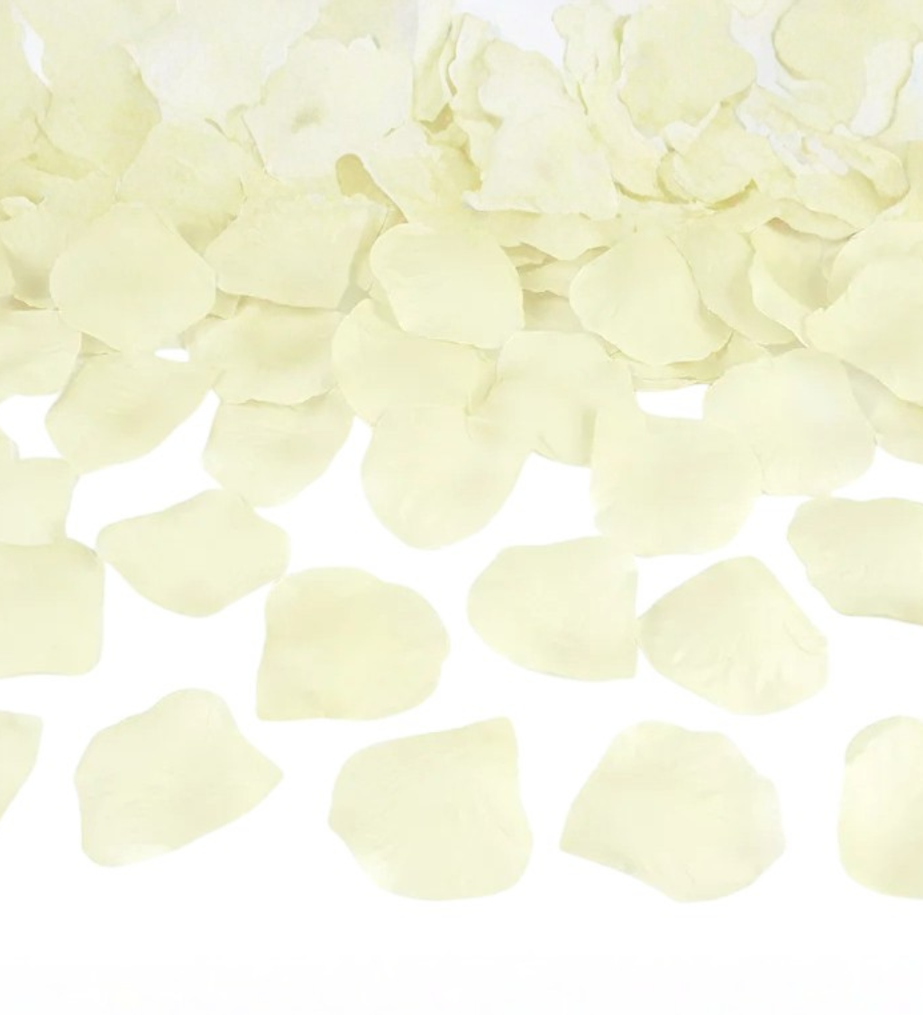 Krémové okvětní plátky růží