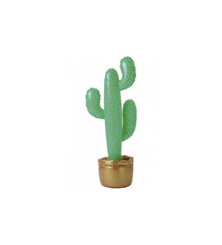 Kaktus k nafouknutí