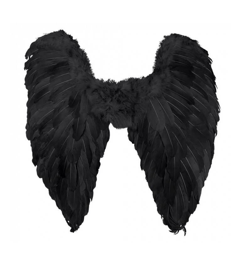 Černá křídla padlý anděl