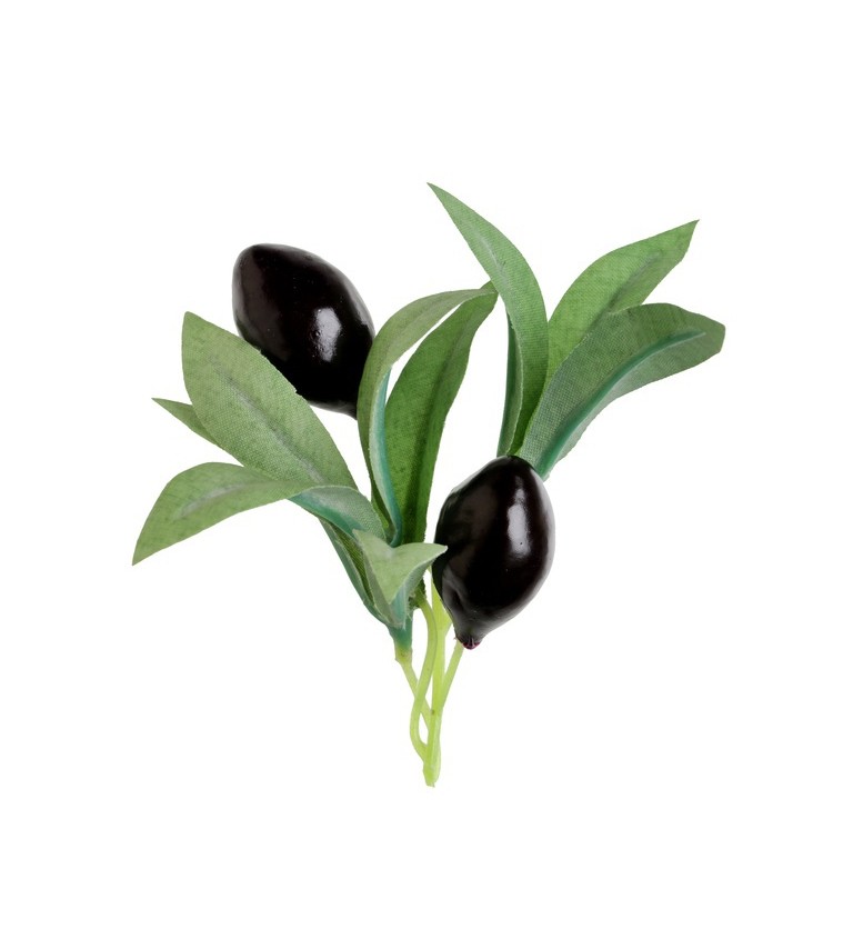 Větvičky s olivami