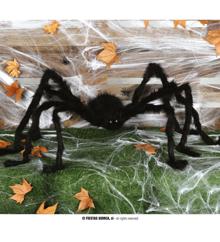 Pavouk černý dekorace