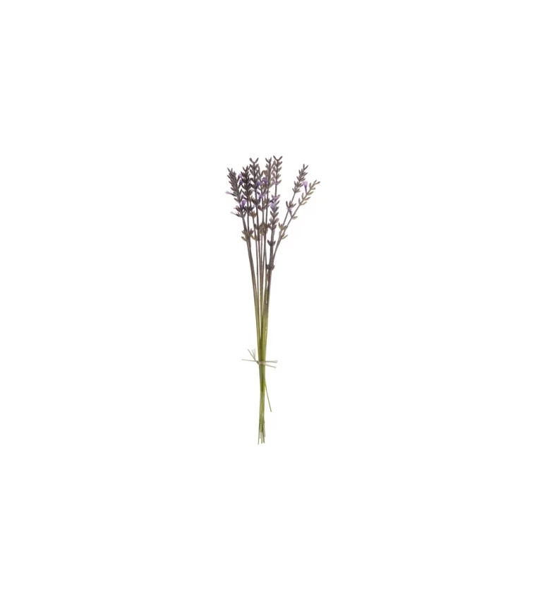 Dekorativní rostlina - fialová