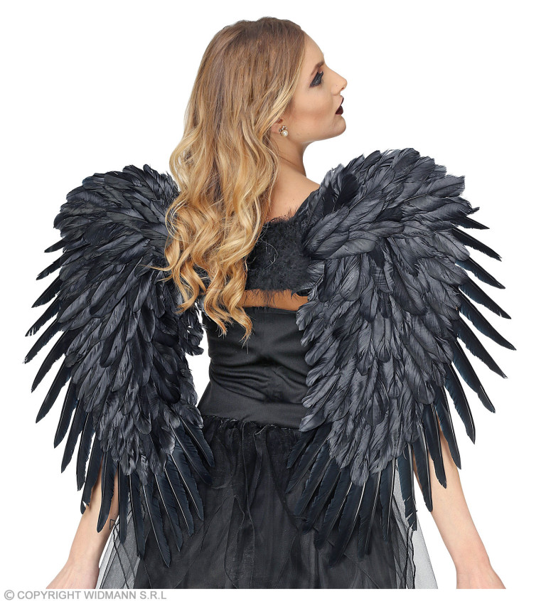 Černá andělská křídla
