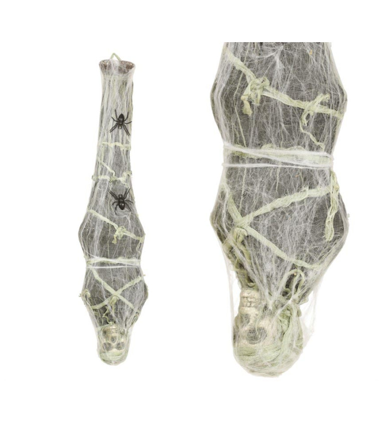 Lebka v pavučině visící